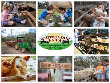 White Ridge Farm - 1 x Adult and 1 x Child Pass - Hero Image