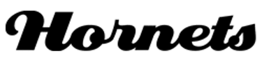 Aspley Hornets - Logo