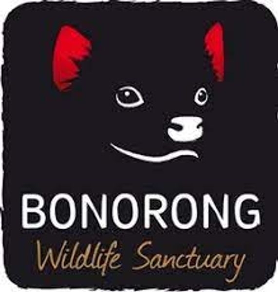 Bonorong Wildlife Santuary