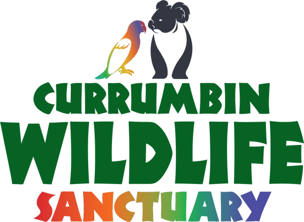 Currumbin Wildlife Sanctuary