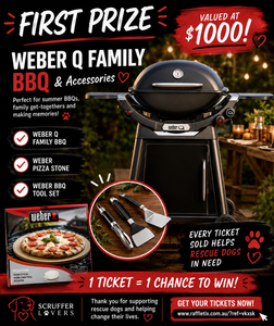 Weber Q BBQ & Accessory Pack - Hero Image