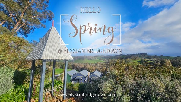 Elysian Bridgetown