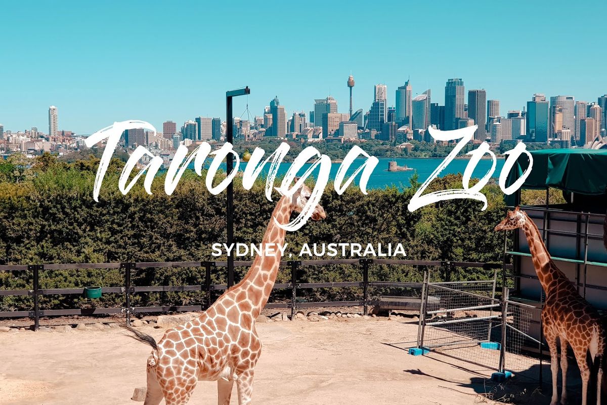 Taronga Zoo - Hero image