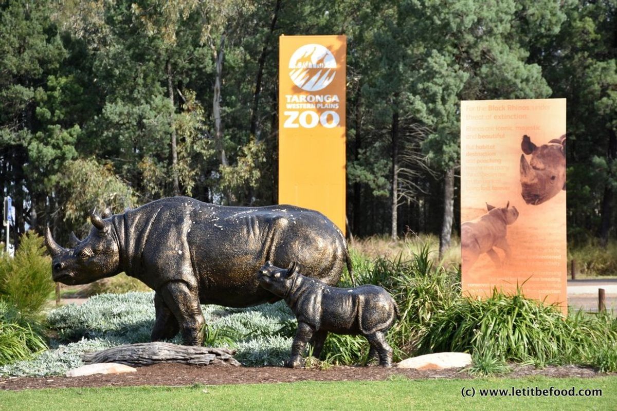 Taronga Zoo Dubbo - Family Pass - Hero image