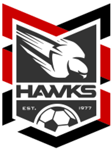 Hawks Football Club - Holland Park - Logo