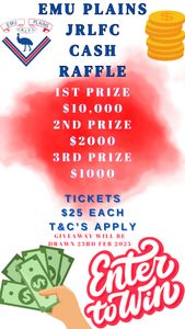 MEGA CASH WINNER - Hero Image