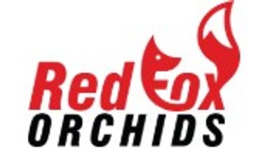 Red Fox Orchids - Logo