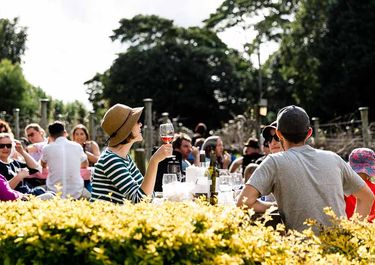 Witches Fall Winery - Box of Wine & Tasting! - Hero Image