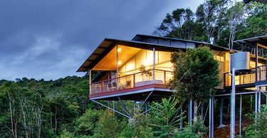 O’Reilly’s Rainforest Retreat - Hero Image