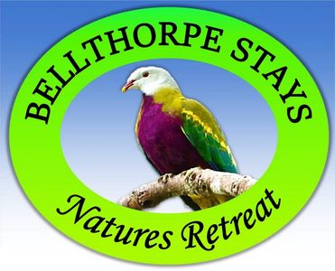 Bellthorpe Stays Nature Retreat - Logo