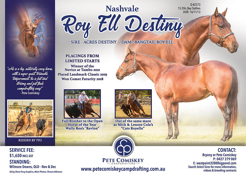 Nashvale Roy Ell Destiny - Image 1