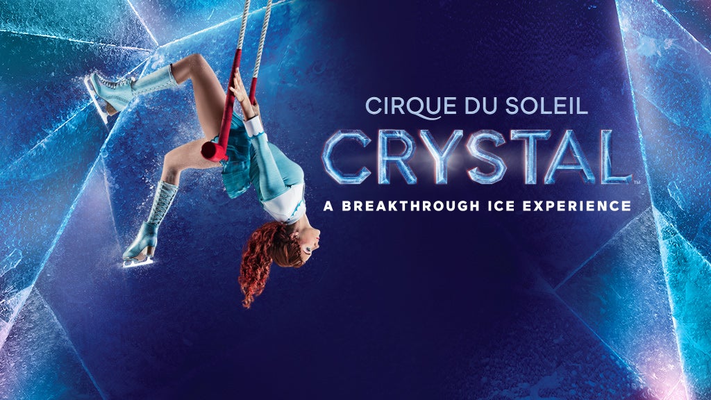 Cirque du Soleil Corporate Box for 10 People - Image 1