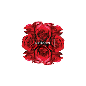 Mr Roses - Logo
