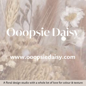 Ooopsie Daisy - Logo